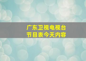 广东卫视电视台节目表今天内容