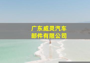 广东威灵汽车部件有限公司