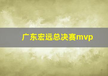 广东宏远总决赛mvp