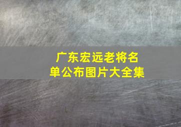 广东宏远老将名单公布图片大全集