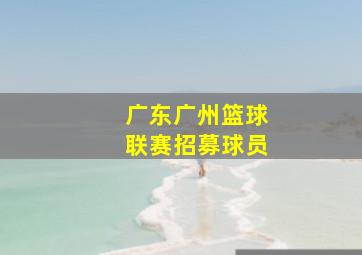 广东广州篮球联赛招募球员