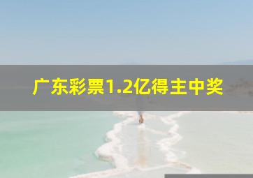 广东彩票1.2亿得主中奖