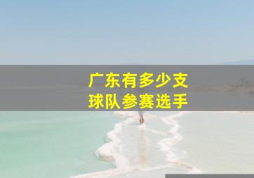 广东有多少支球队参赛选手