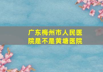 广东梅州市人民医院是不是黄塘医院