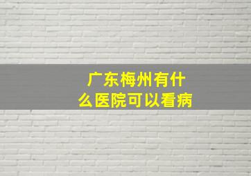 广东梅州有什么医院可以看病