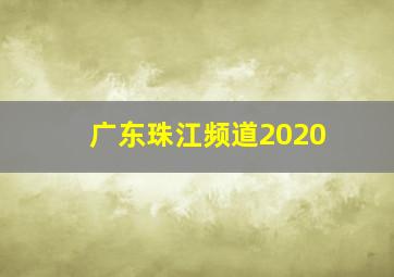 广东珠江频道2020