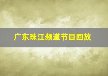 广东珠江频道节目回放