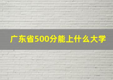 广东省500分能上什么大学