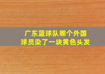 广东篮球队哪个外国球员染了一块黄色头发