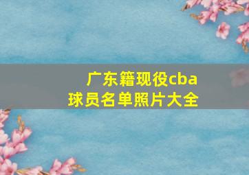 广东籍现役cba球员名单照片大全