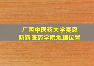 广西中医药大学赛恩斯新医药学院地理位置