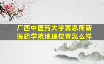 广西中医药大学赛恩斯新医药学院地理位置怎么样