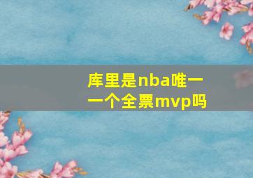 库里是nba唯一一个全票mvp吗