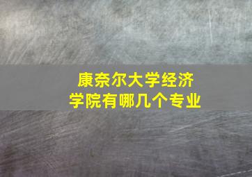 康奈尔大学经济学院有哪几个专业