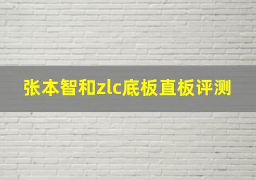 张本智和zlc底板直板评测