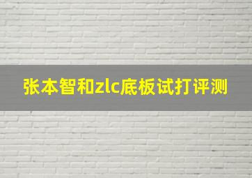 张本智和zlc底板试打评测