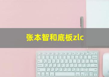 张本智和底板zlc