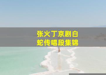 张火丁京剧白蛇传唱段集锦