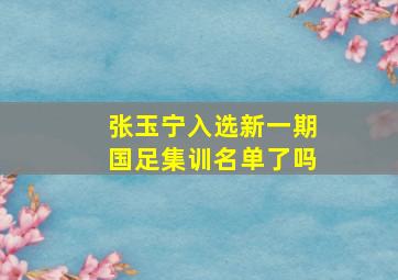 张玉宁入选新一期国足集训名单了吗