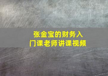 张金宝的财务入门课老师讲课视频