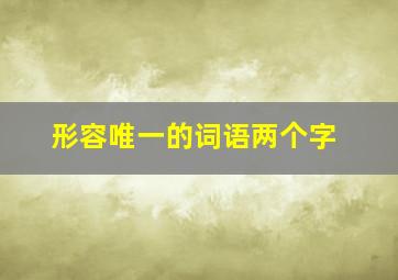 形容唯一的词语两个字