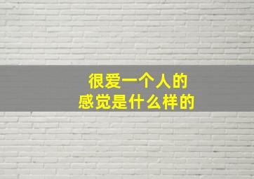 很爱一个人的感觉是什么样的