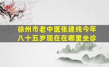 徐州市老中医张建纯今年八十五岁现在在哪里坐诊