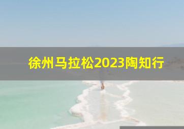 徐州马拉松2023陶知行