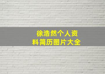 徐浩然个人资料简历图片大全