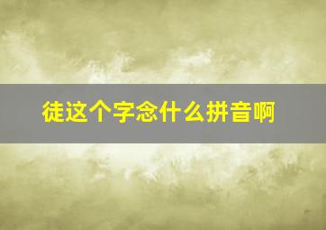 徒这个字念什么拼音啊