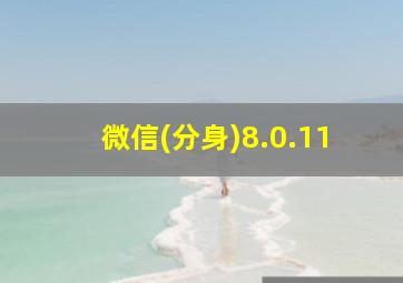 微信(分身)8.0.11