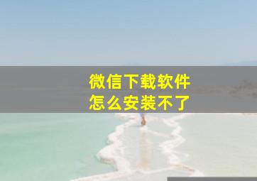 微信下载软件怎么安装不了