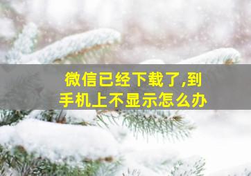 微信已经下载了,到手机上不显示怎么办