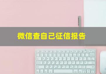 微信查自己征信报告