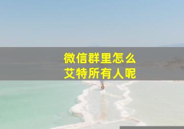 微信群里怎么艾特所有人呢