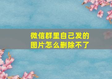 微信群里自己发的图片怎么删除不了