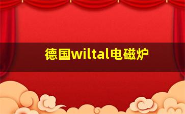 德国wiltal电磁炉