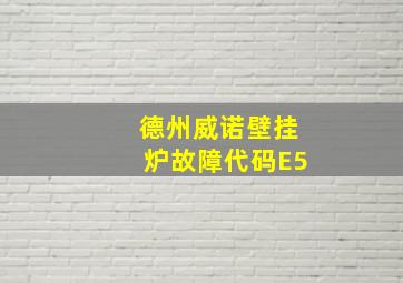 德州威诺壁挂炉故障代码E5