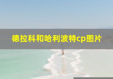 德拉科和哈利波特cp图片