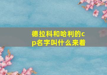 德拉科和哈利的cp名字叫什么来着