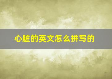 心脏的英文怎么拼写的