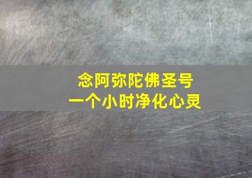 念阿弥陀佛圣号一个小时净化心灵