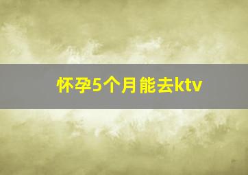 怀孕5个月能去ktv