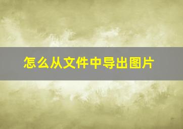 怎么从文件中导出图片