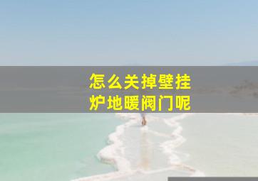 怎么关掉壁挂炉地暖阀门呢