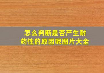 怎么判断是否产生耐药性的原因呢图片大全