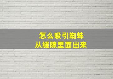 怎么吸引蜘蛛从缝隙里面出来