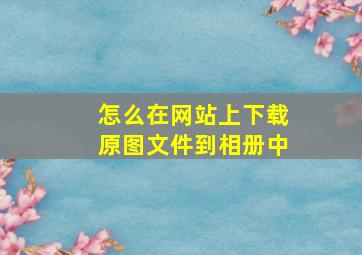 怎么在网站上下载原图文件到相册中