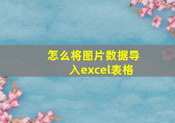 怎么将图片数据导入excel表格