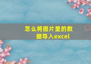 怎么将图片里的数据导入excel